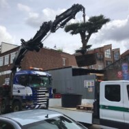 - Truck and Crane Hire UK - Truck and Crane Hire UK