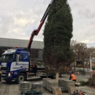 - Truck and Crane Hire UK - Truck and Crane Hire UK