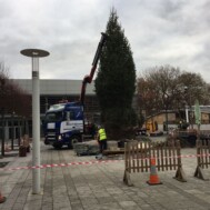 - Truck and Crane Hire UK - Truck and Crane Hire UK