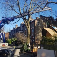 - Truck and Crane Hire UK - Truck and Crane Hire UK